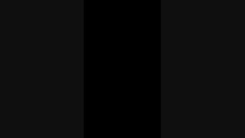 23031