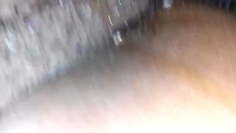 11164