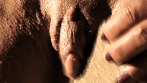 4049