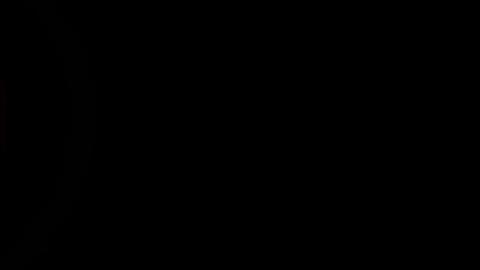 3101