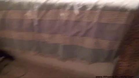 3050
